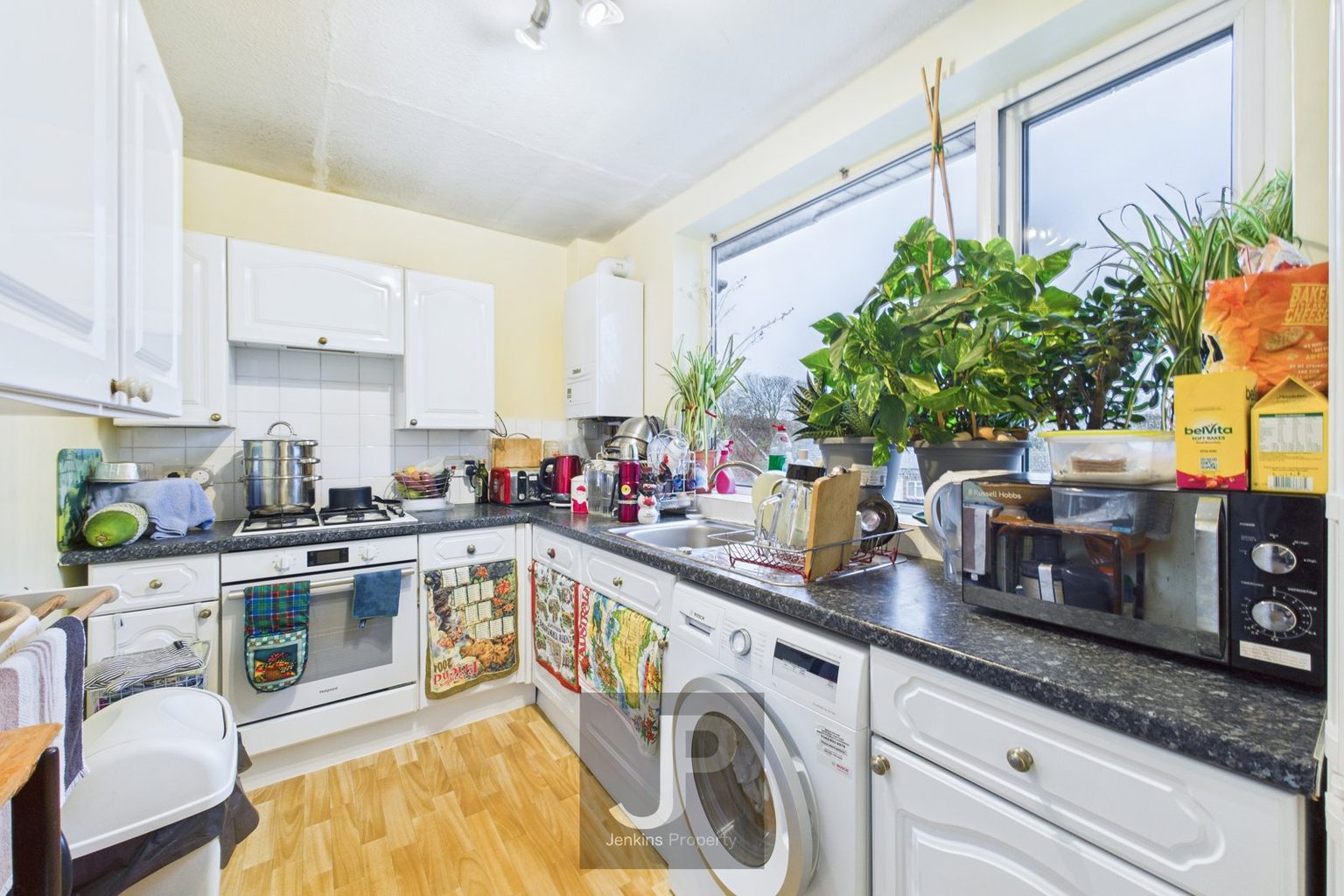 Kitchen, everyday clutter