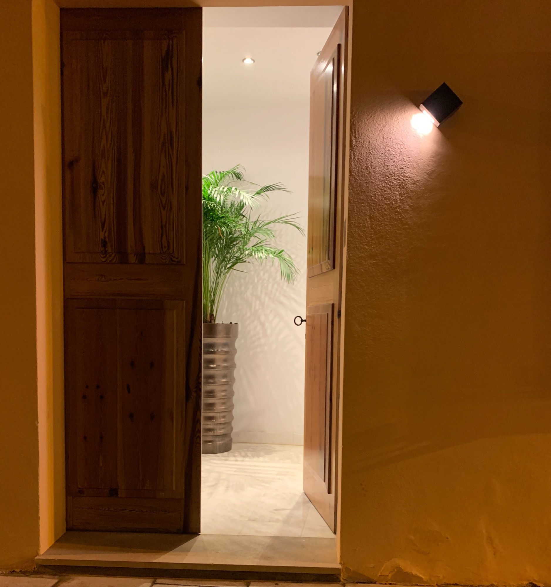 Open wooden doorway, a plant in the hall beyond